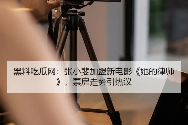 黑料吃瓜网：张小斐加盟新电影《她的律师》，票房走势引热议